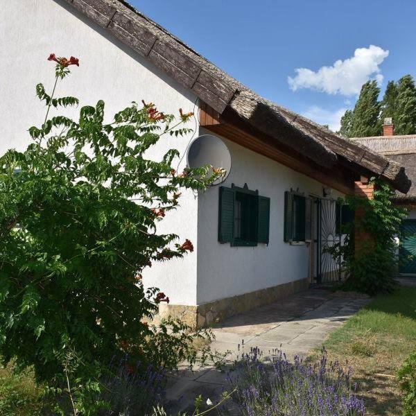 Boroka Tanya Villa Orgovany Exterior foto